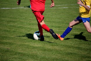 乐鱼体育app官网入口-NBA球员训练计划优化设计,nba运动员训练计划